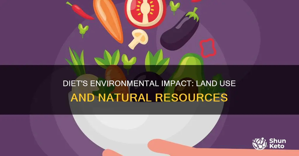 how diet effects natural resources and land use