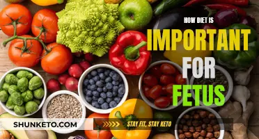 Nutrition's Role: Fetal Development and Diet