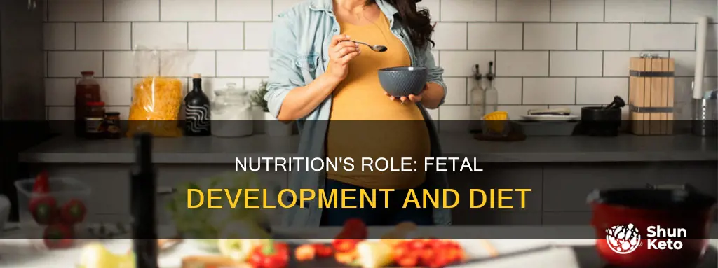 how diet is important for fetus