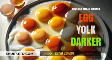 Chicken Egg Yolk: Diet's Darkening Effect