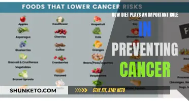 Nutrition's Power: Preventing Cancer with Diet