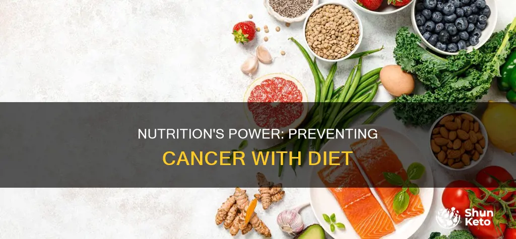 how diet plays an important role in preventing cancer