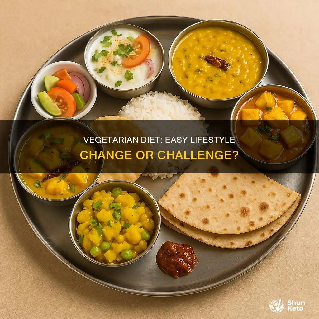 how difficult is it to follow a vegetarian diet