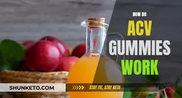 ACV Gummies: Do They Work?