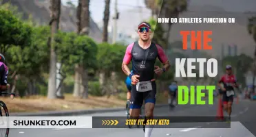 Keto Diet for Athletes: Performance, Recovery, and Energy Explained