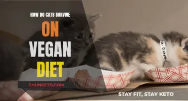 Cats' Vegan Diet: Healthy or Harmful?