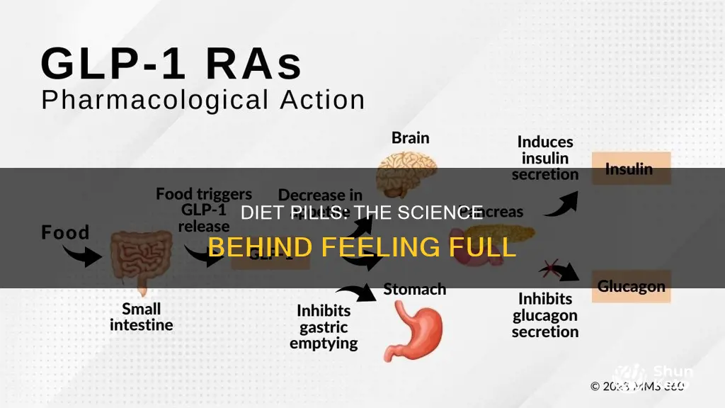 how do diet pills make you feel full