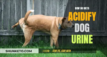 The Science Behind Acidic Dog Urine and Diets