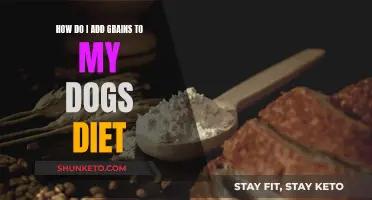 Grains in Your Dog's Diet: What, Why, and How?