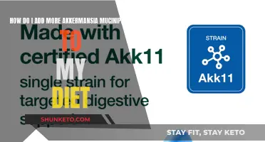 Boost Akkermansia Muciniphila in Your Diet: Simple Strategies