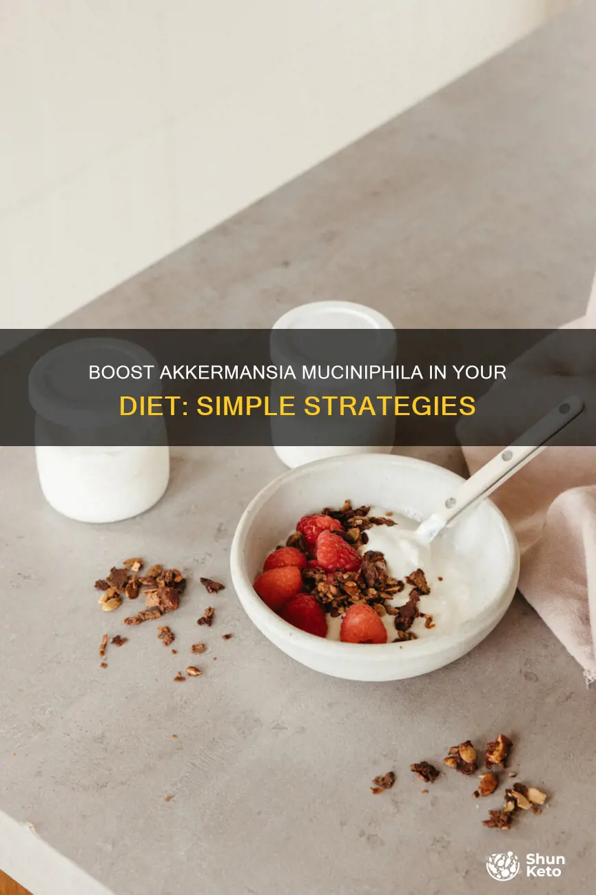 how do i add more akkermansia muciniphila to my diet