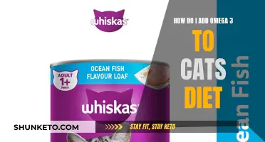 Omega-3 for Cats: What, Why, and How?