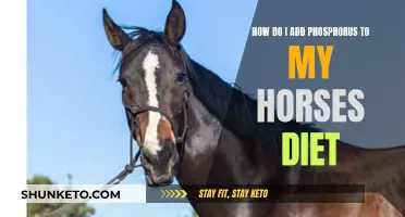 Supplementing Your Horse's Diet with Phosphorus