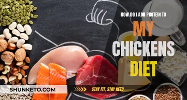 Boost Your Chicken's Protein Intake: Natural Diet Hacks