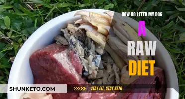 Raw Diet for Dogs: What, Why, and How?