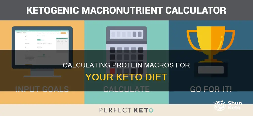 how do I figure out my protein macro on keto