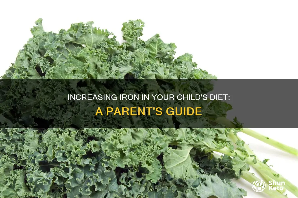 how do i increase iron in my child