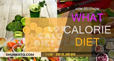Calorie Counting: How to Know Your Diet Plan