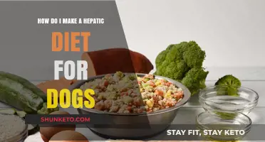 Hepatic Diet for Dogs: What You Need to Know