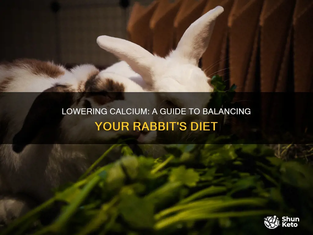 how do i reduce calcium in my rabbit