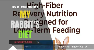 Calcium Control: A Rabbit's Dietary Needs and Restrictions