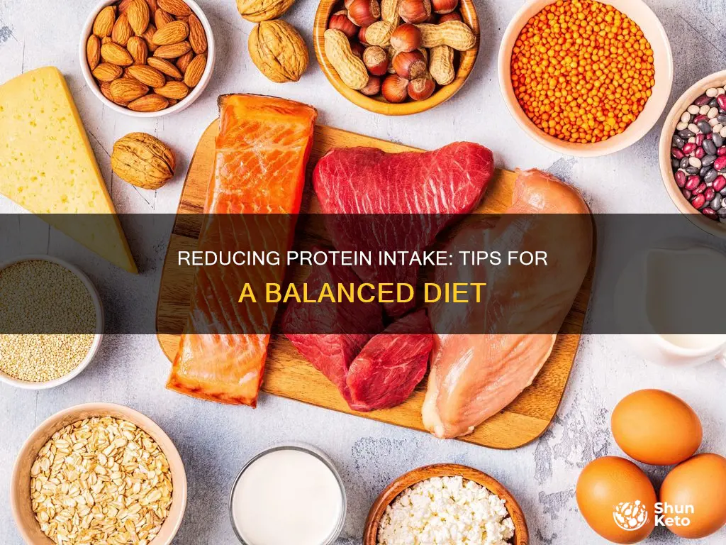 how do i reduce protein in my diet