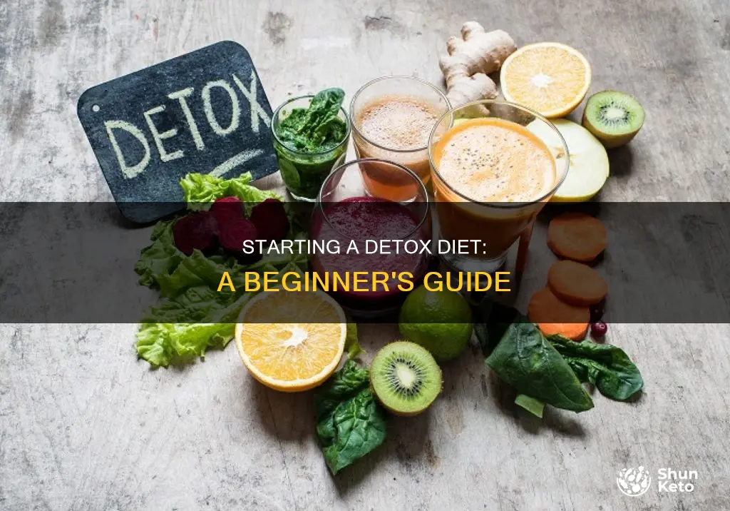 how do i start a detox diet