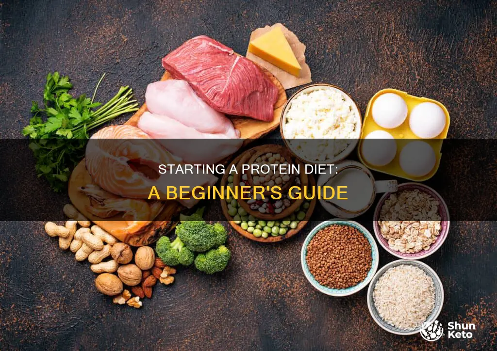 how do i start a protein diet