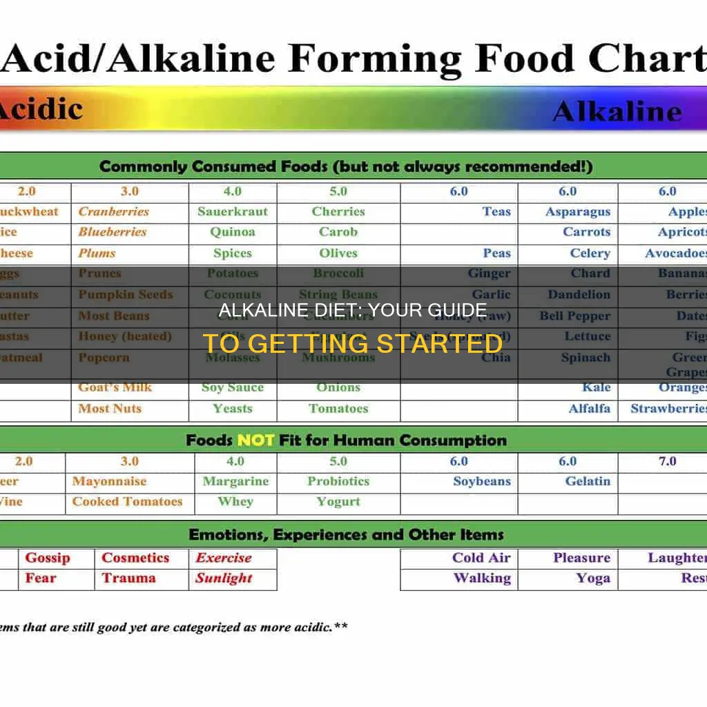how do i start an alkaline diet