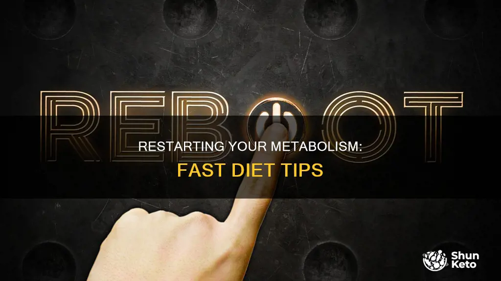 how do i start over fast metabolism diet