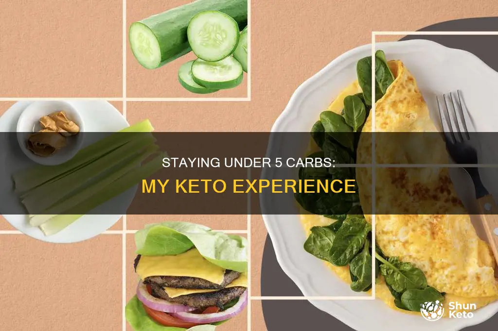 how do i stay at 5 carbs on keto