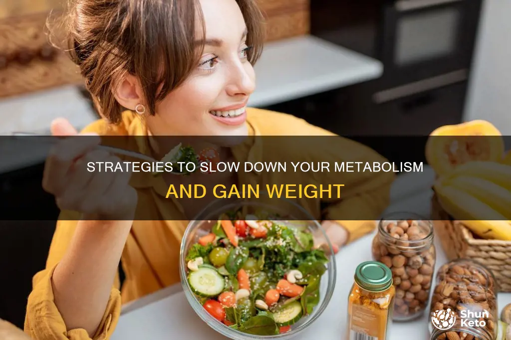how do i stop fast metabolism diet