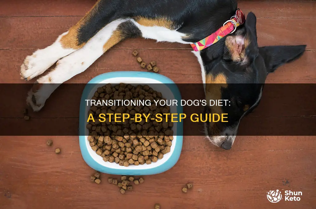 how do i transition my dog to new diet