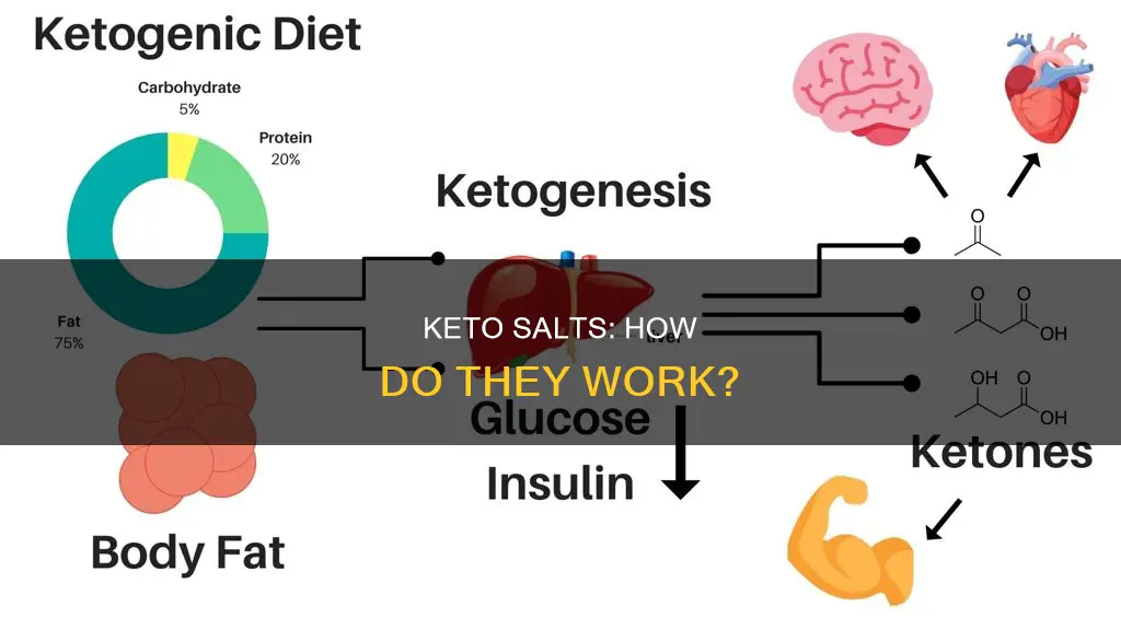 how do keto salts work