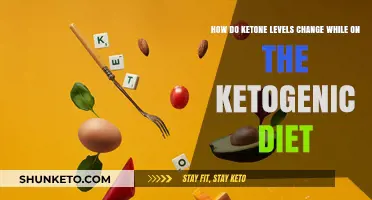 Ketogenic Diet: Tracking Ketone Levels for Success