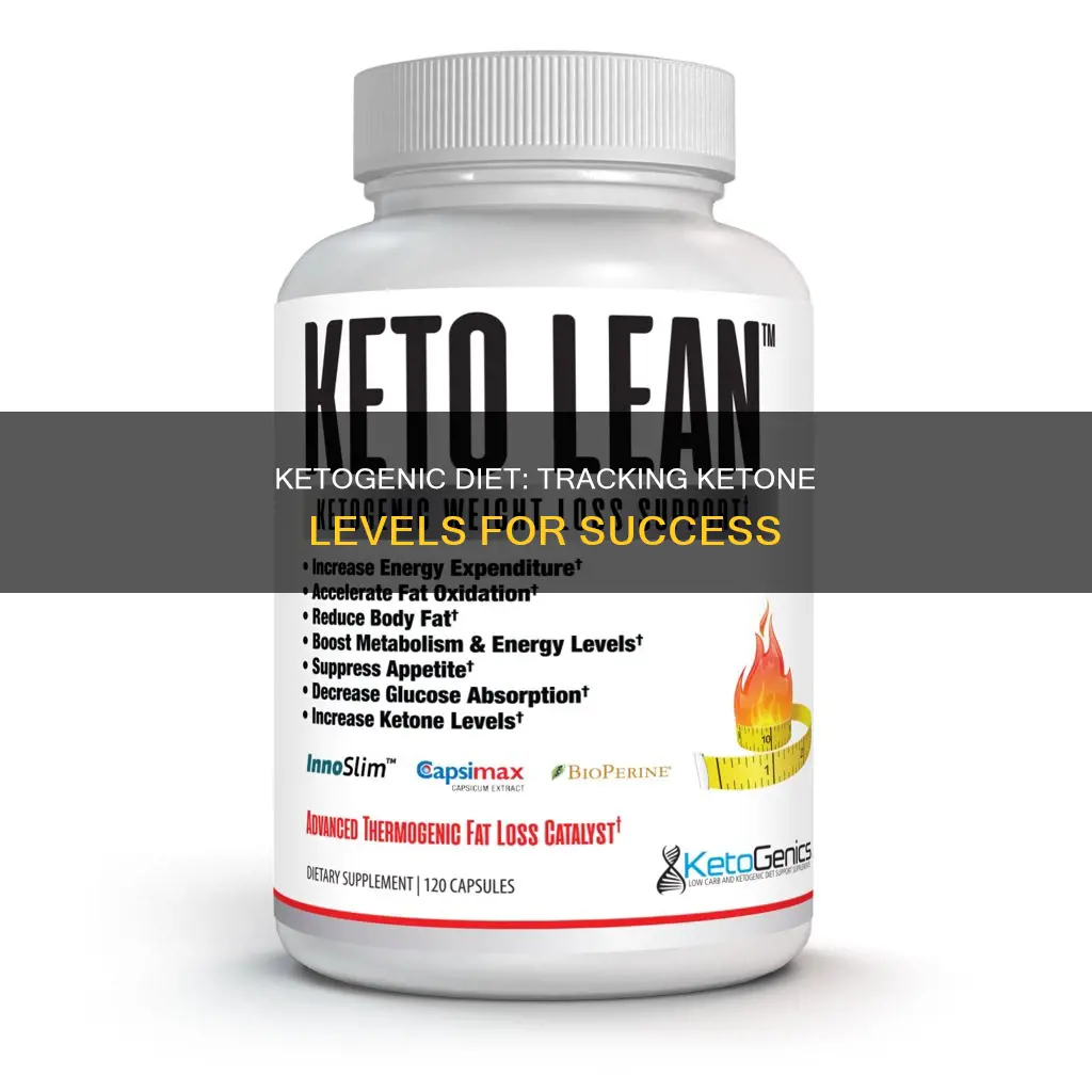 how do ketone levels change while on the ketogenic diet