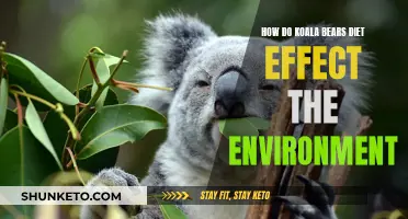 Koala Diets: Environmental Impact and Ecology