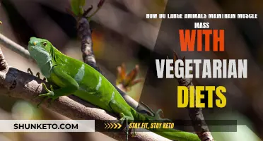 Vegetarian Muscle Power: Large Animals' Diet Secrets