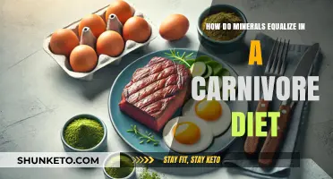 Carnivore Diet: Mineral Balance for Carnivores