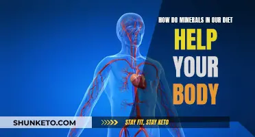 Minerals: Essential Dietary Building Blocks for Your Body
