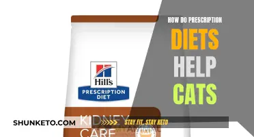 Prescription Diets: A Cat's Best Friend
