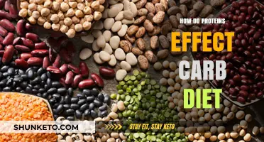 Proteins and Carb Diet: What's the Link?