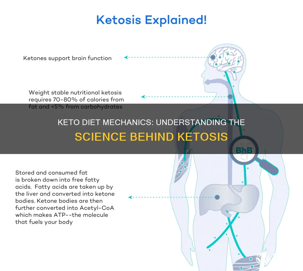 how do the keto diests work