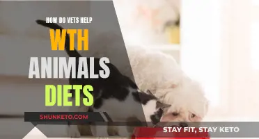 Vets Tailor Diet Plans for Your Pet's Health