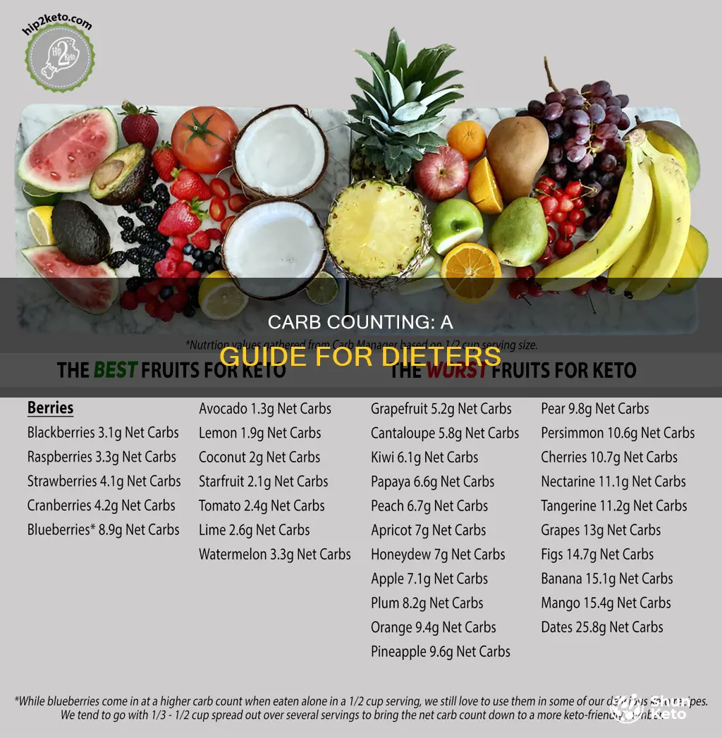 how do you count carbs while dieting