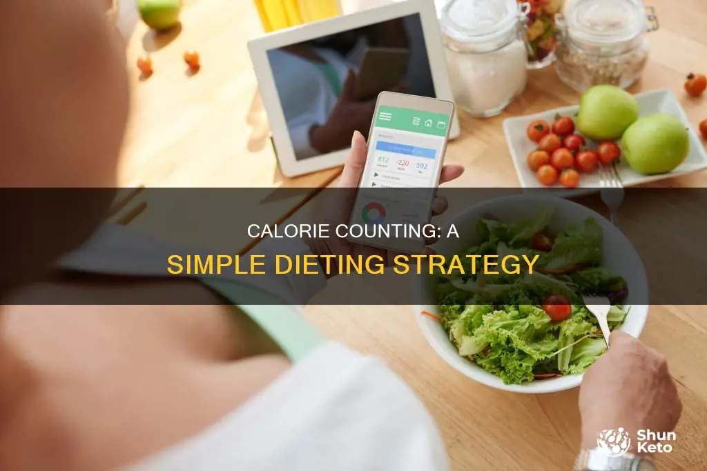 how do you do a calorie count diet