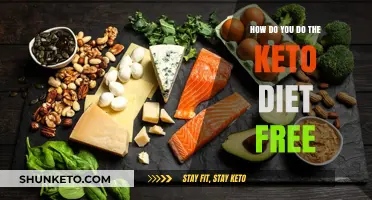 Mastering Keto Diet Basics: Free Tips for Beginners to Start