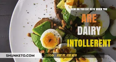 Dairy-Free Keto: Delicious Low-Carb Recipes for Intolerant Eaters