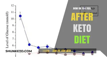 Post-Keto Reflections: Energy, Mood, and Body Changes Explored