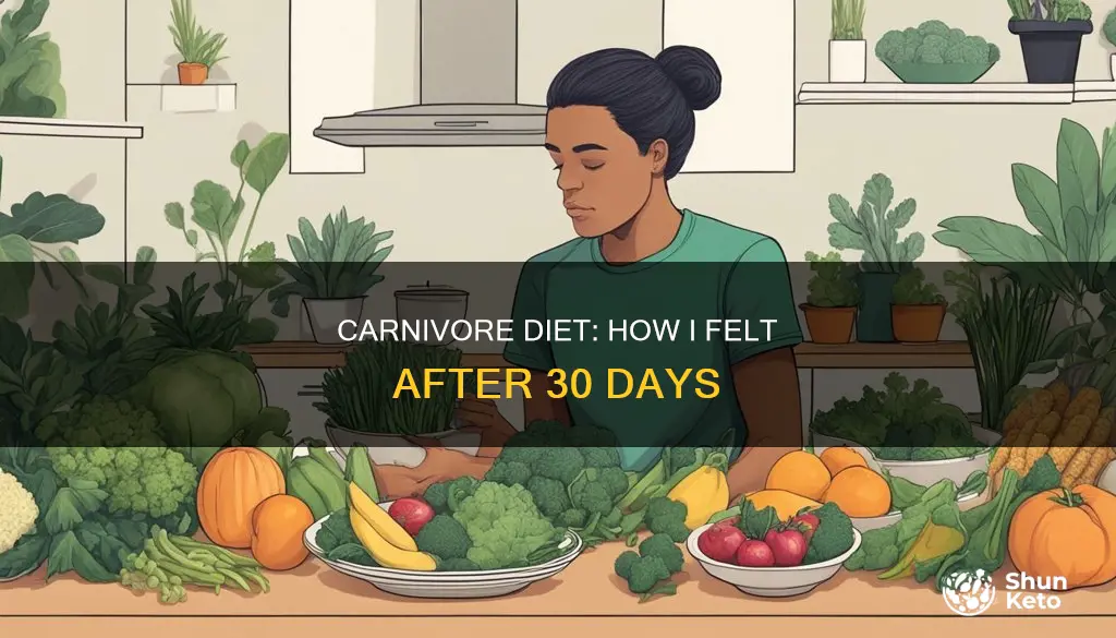how do you feel on carnivore diet